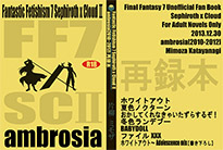 Fantastic Fetishism 7 Sephiroth x Cloud II